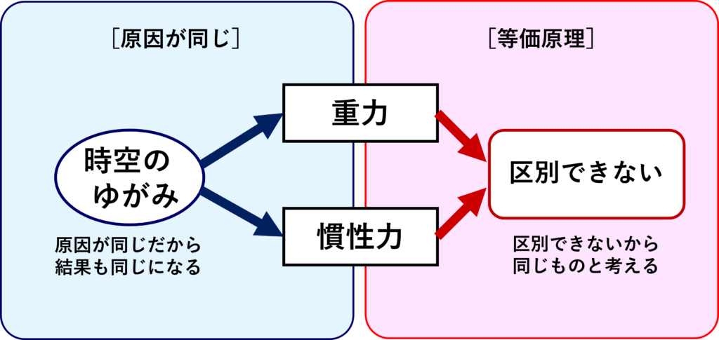 重力も慣性力も、時空のゆがみが原因だから区別できないことを示す図